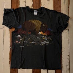 Vintage Oklahoma Prairie T Shirt Buffalo American Size Large Distressed